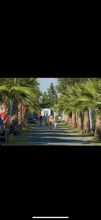 Camping 4 Etoiles Le Bosc Saint Cyrpien Mobil Home Saint-Cyprien (Pyrenees-Orientales) Exterior foto